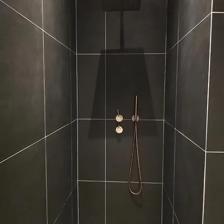 Lf - Irene Lejlighed