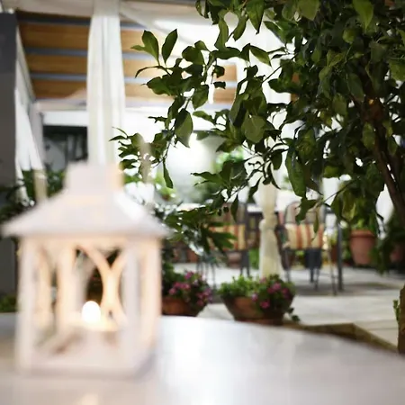 Lf - Irene Appartement